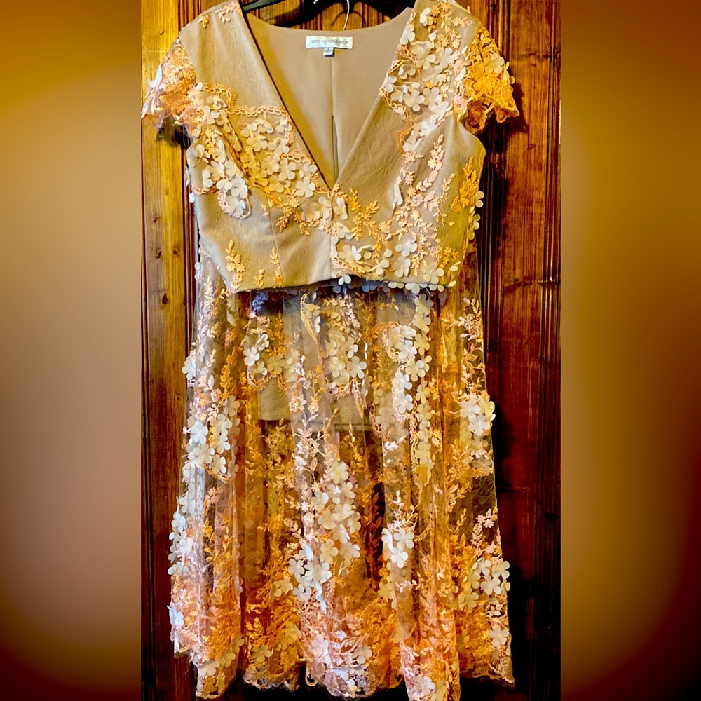 Nude Crop Top and knee length dress combo with peach floral lace overlay